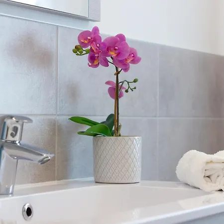 Living Appartement Trévise